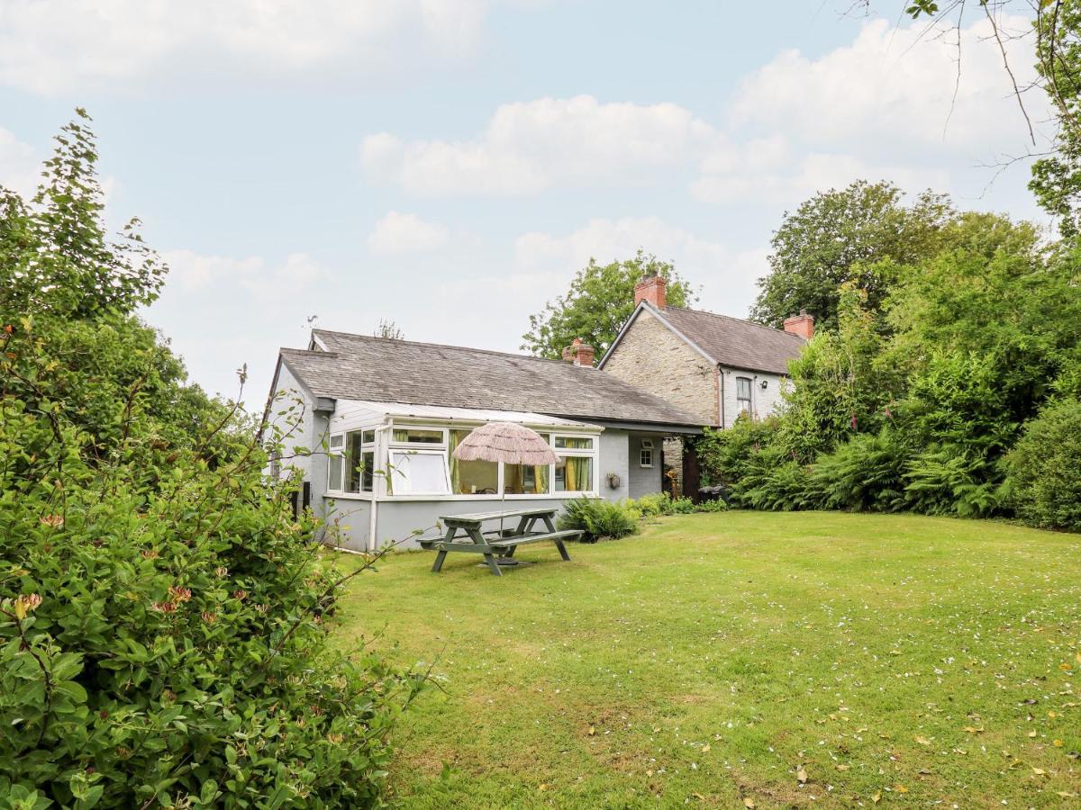 Maesgwyn Villa Cardigan Exterior photo